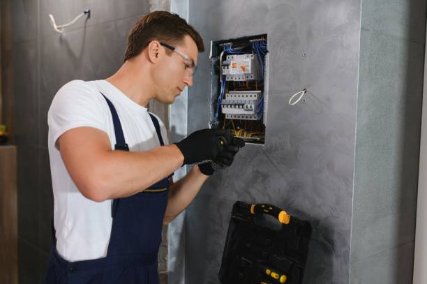 Best Electrical Upgrades for Homes  in Canton, IL